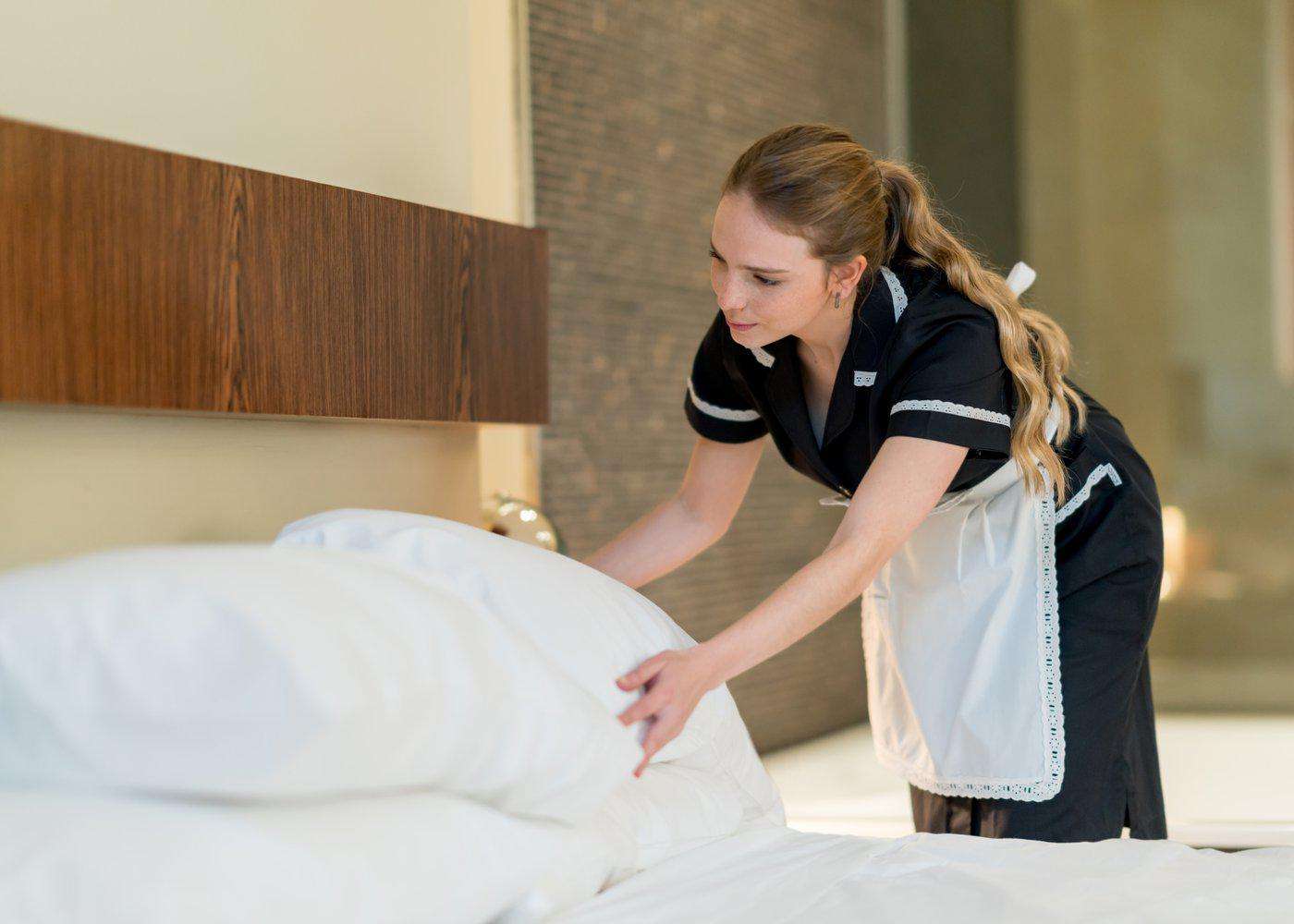 House Cleaning - The French Maid